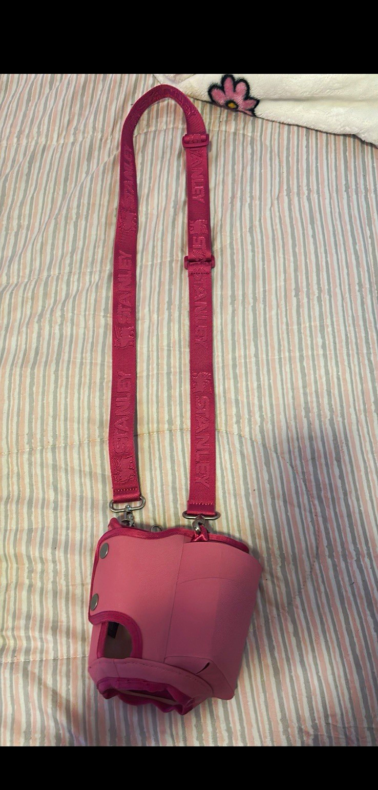 Pink Mini Crossbody Stanley Buckle Closure Detachable Adjustable Strap