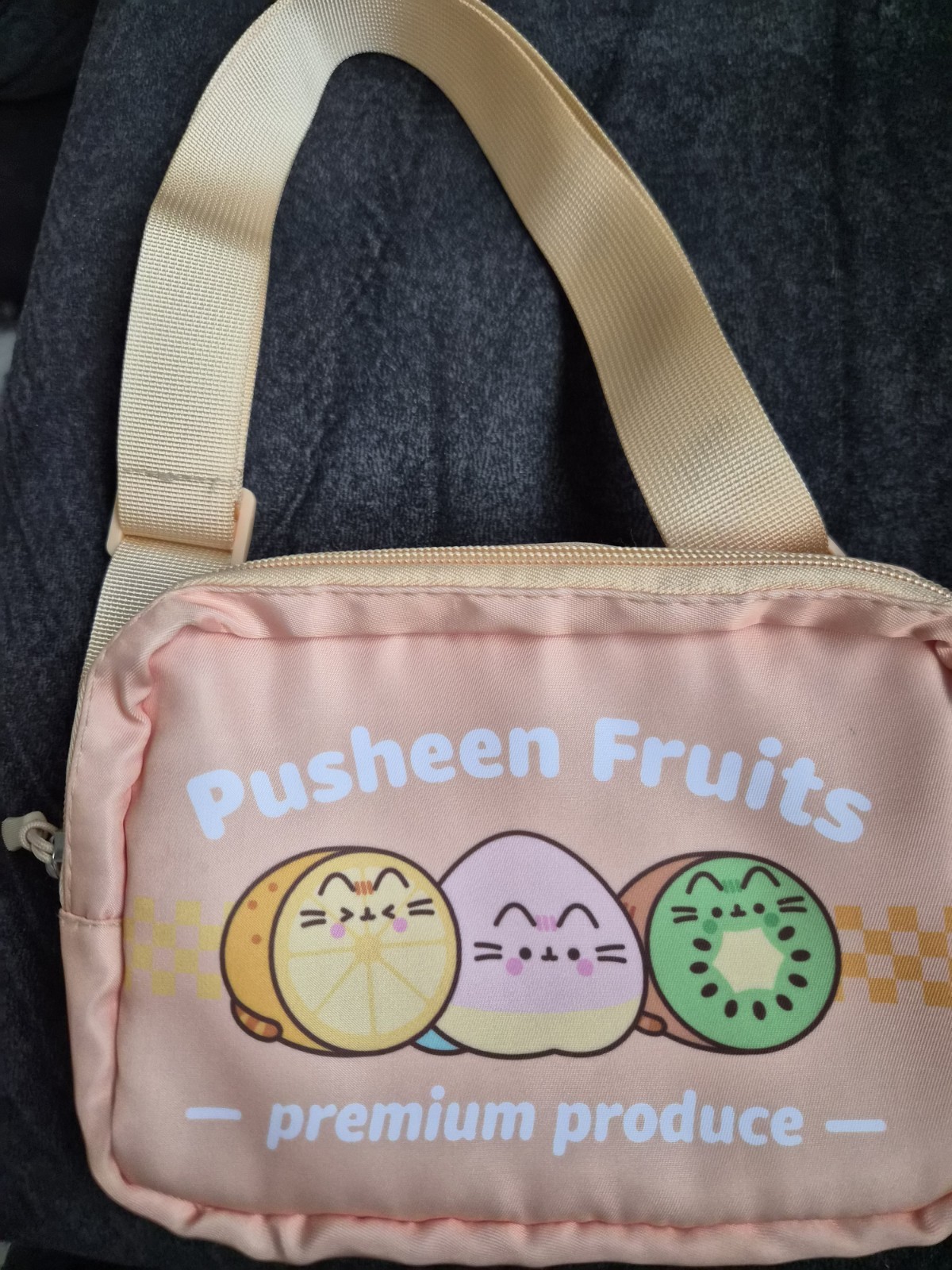 Pusheen Fruits Fanny Pack Zipper Pouch from Exclusive Summer 2024 box