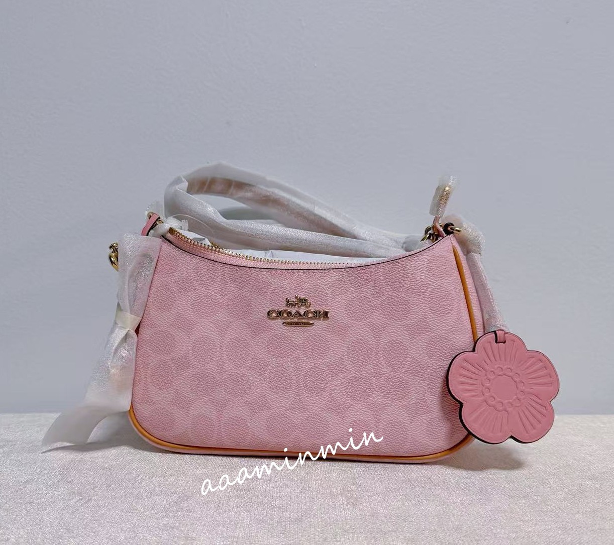 NWT CEA20 Coach Teri Shoulder Bag In Signature Canvas With Charms