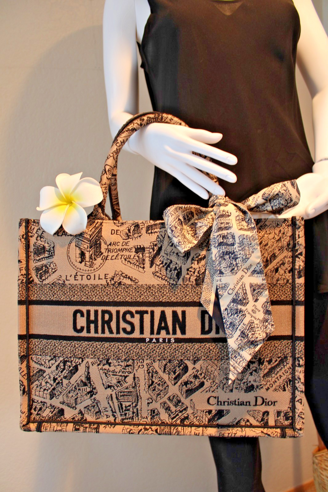 Christian Dior Plan De Paris Medium Book Tote w/ Mitzah Scarf Dust Bags Scarf