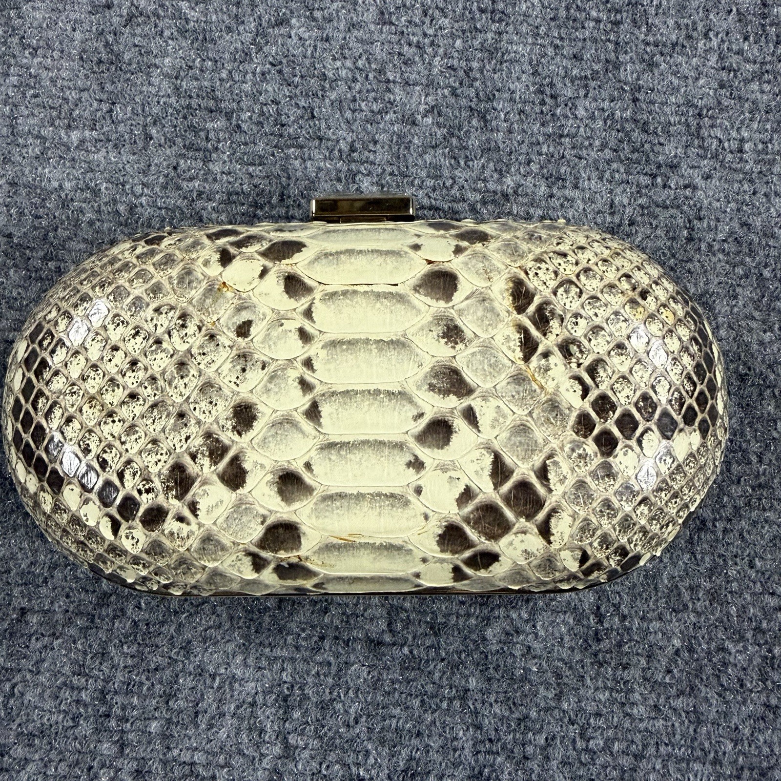 Cape Cobra Genuine Python Clasp Bag Metal Chain Strap Small Read