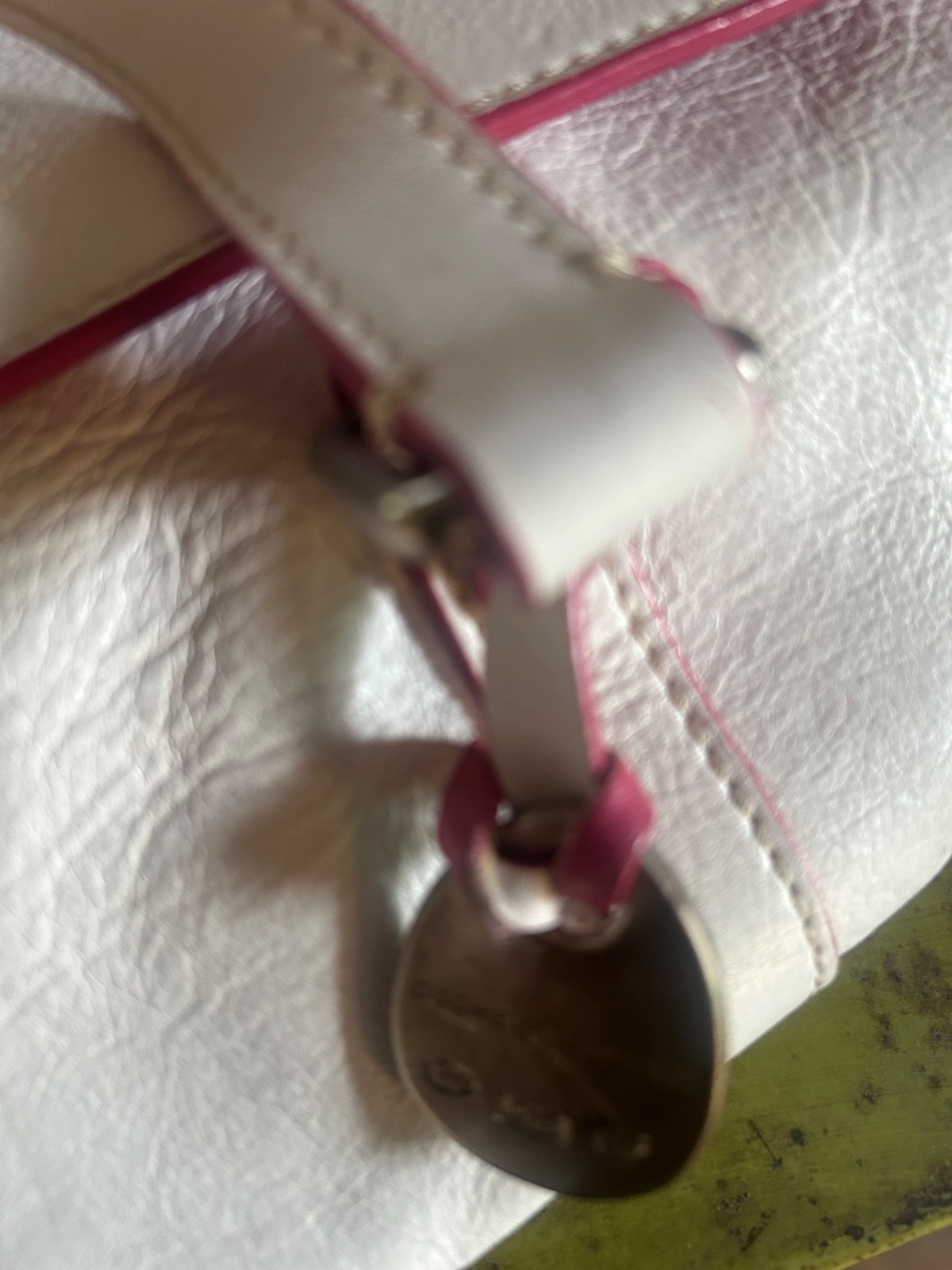 Women’s Handbags Dooney and Bourke Icon