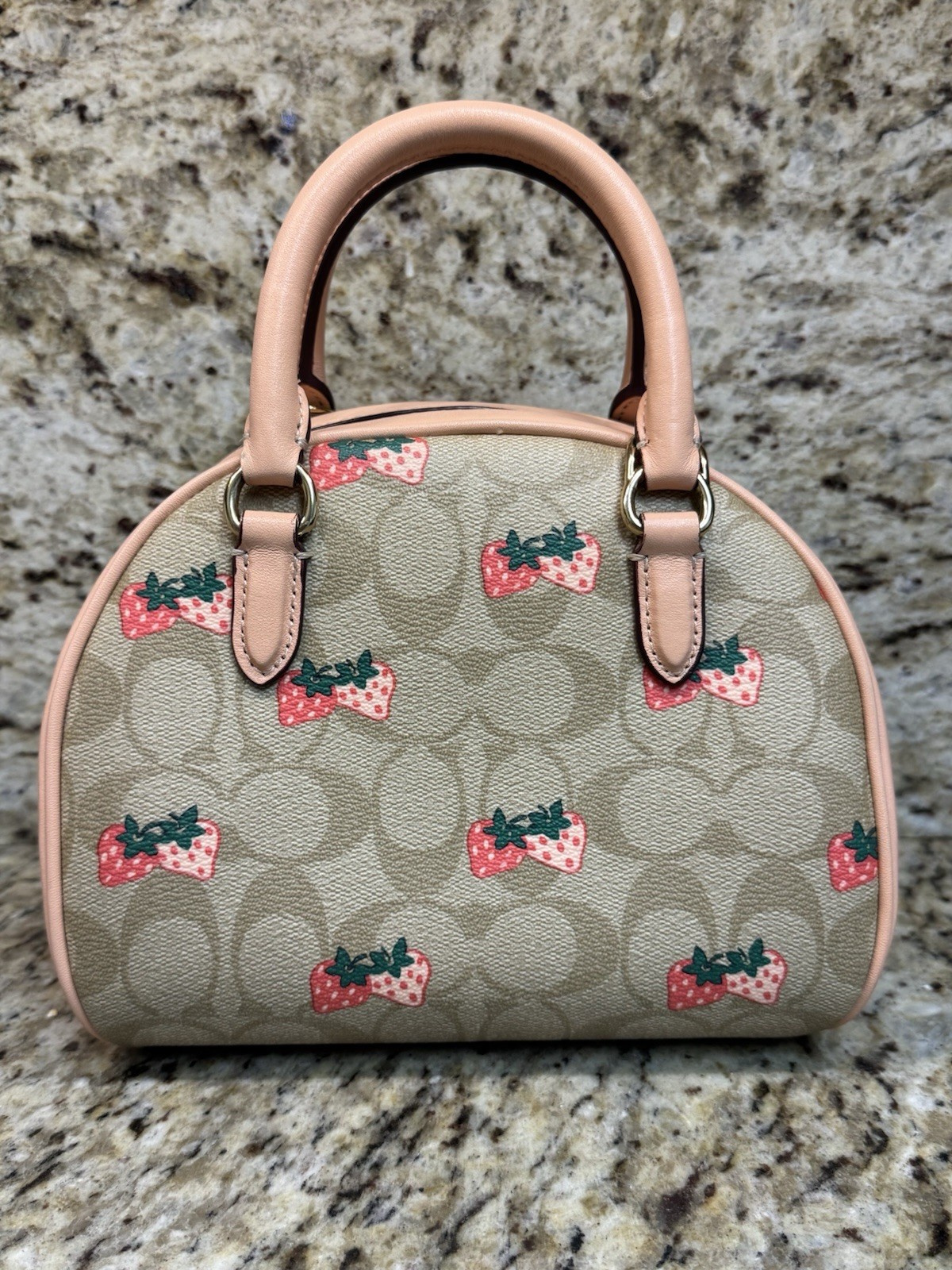 Coach Sydney Satchel In Signature Canvas With Strawberry Print CB596