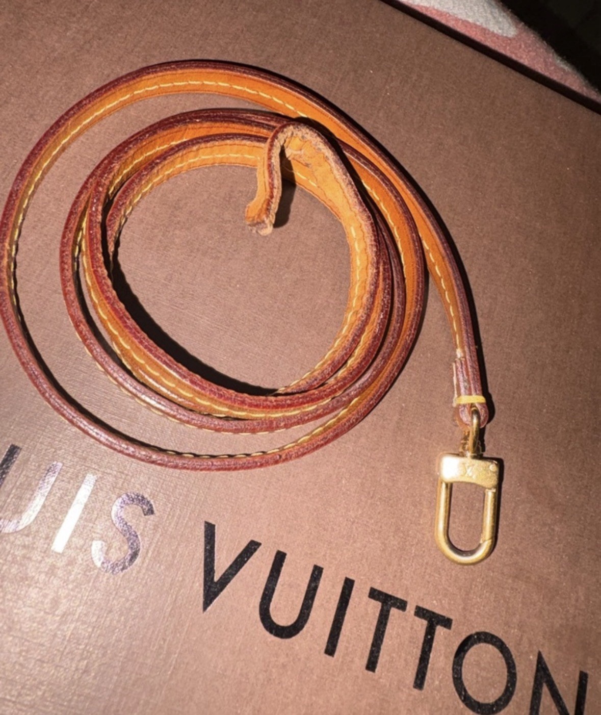 Louis Vuitton Eva Crossbody Brown Canvas Coated Monogram