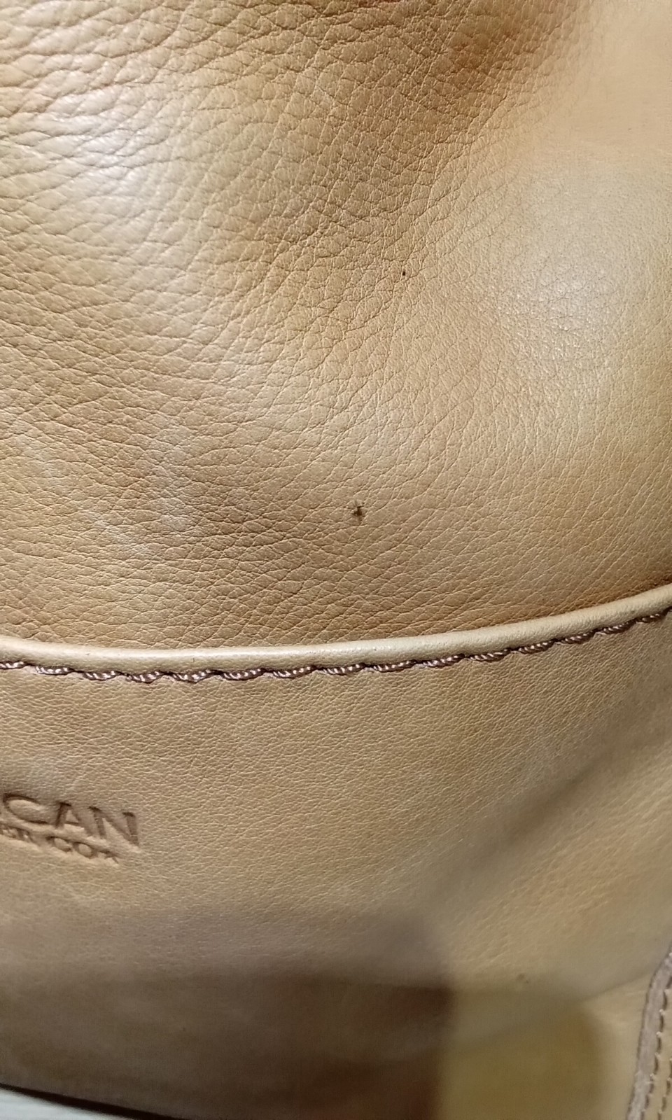 American Leather Co Blake Hobo Cafe Latte Smooth
