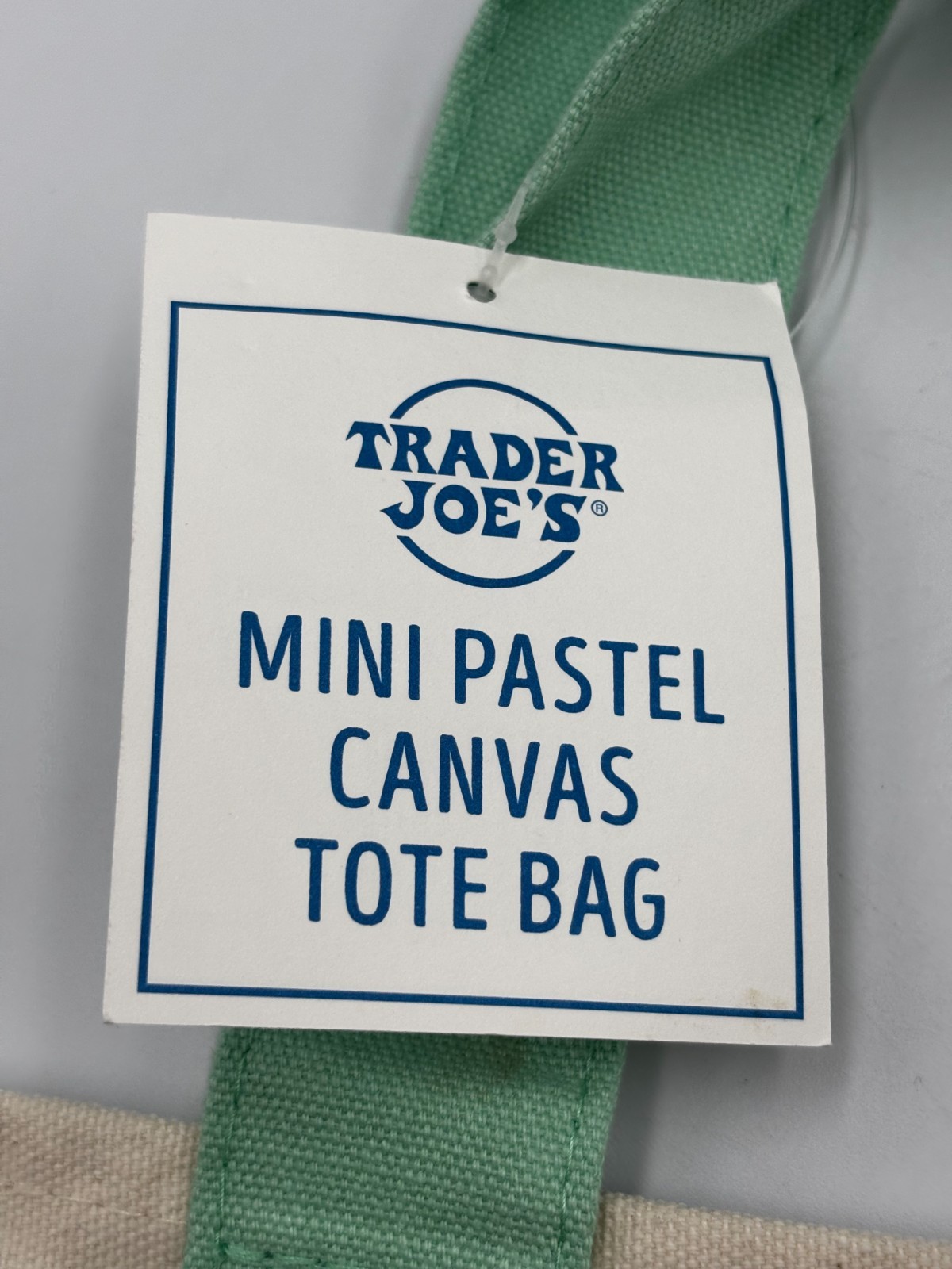 Trader Joe’s Easter Mini Canvas Tote Bag Pastel Green New With Tags Limited 2026