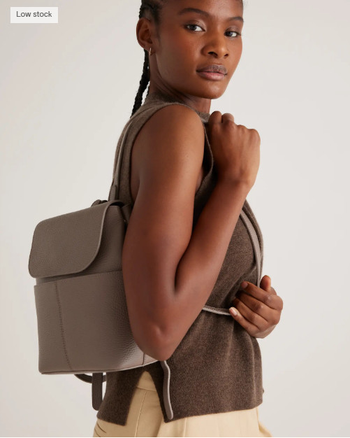 NWT QUINCE ITALIAN LEATHER SMALL BACKPACK MINK PURSE HANDBAG BAG MSRP $120