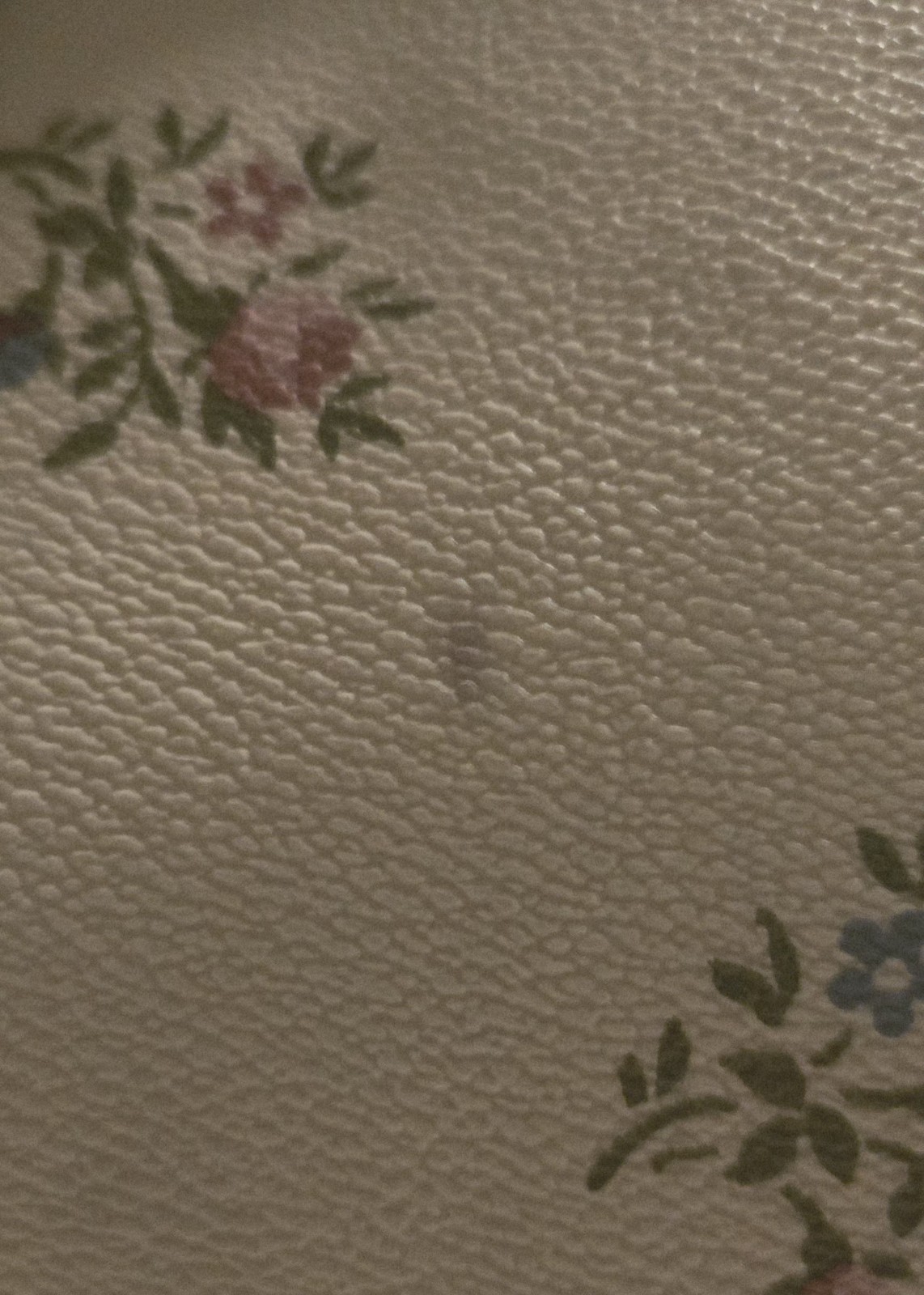 Coach Taylor Tote Bag-Off White Floral Print (11-1/2″ W x 10-1/4″ H x 5-1/2″ D)
